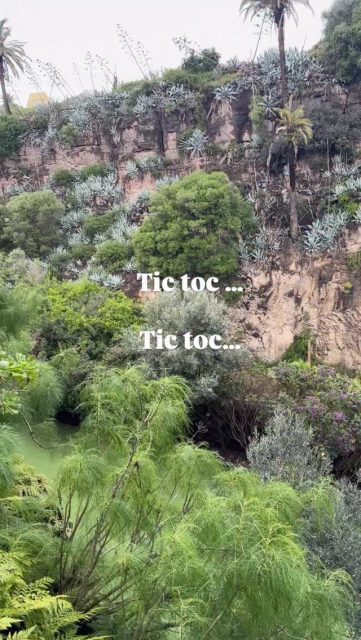 Ya queda poco …. para nuestro encuentro
Un encuentro para mujeres que inspiran…
Mujeres que sienten, que crean, que sueñan y que desean vivir con más energía, más calma y más autenticidad.
Un espacio para parar, respirar y reconectar contigo…
con tu esencia, con tu bienestar y con la belleza real que nace cuando te cuidas desde dentro.
Este evento nace para alejarnos de la estética irreal que nos exige ser perfectas, sin errores, sin cambios…
y acercarnos a una belleza mucho más profunda y poderosa: la belleza de la vida real.
La belleza de sentirte fuerte y vital,
de nutrirte con alimentos saludables, reales y deliciosos,
de disfrutar tu cuerpo con respeto y amor,
de vivir con más calma, más energía y más plenitud.
Porque la verdadera belleza no está en la perfección…
está en la autenticidad.
En una sonrisa sincera,
en una mirada con luz,
en una mujer que se siente bien consigo misma.
Un encuentro para llenar el alma, calmar el corazón y despertar esa energía que aparece cuando te das permiso para cuidarte, disfrutar y vivir con intención.
Porque cada mujer es única,
cada historia es valiosa,
y cada etapa de la vida merece ser vivida con amor, salud y bienestar.
Cuando una mujer se nutre con amor, su energía cambia, su confianza crece y su luz se expande.
Y entonces, su bienestar se convierte en inspiración…
para su familia, su entorno y para otras mujeres que también están listas para florecer.
Porque eres única.
Porque tu vida merece ser vivida con plenitud.
Porque cuando te cuidas con amor… tu belleza simplemente aparece. ✨🌿💛
@sparnatural @curvyelegante @tere_balletfit_laspalmas @llevamealhuerto